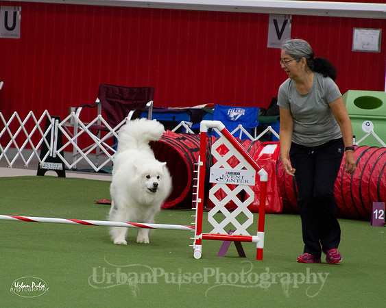 AGILITY_9436