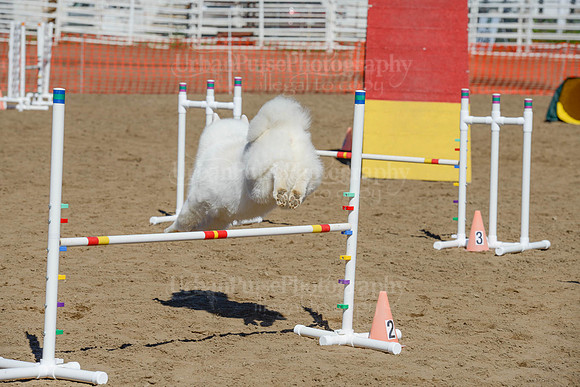 AGILITY-2290