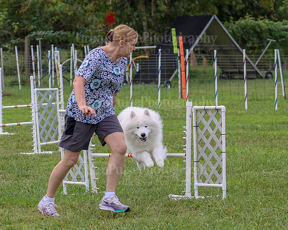 AGILITY-1974