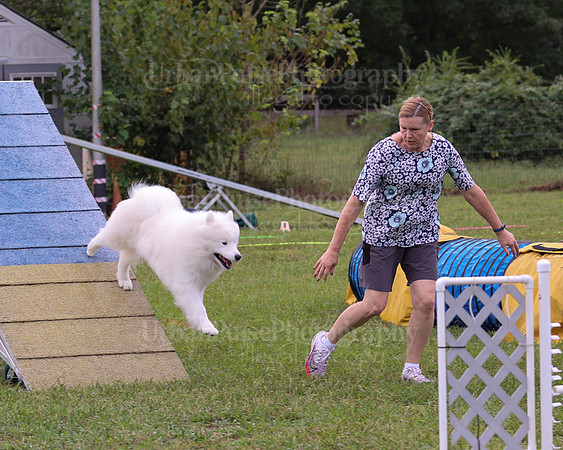 AGILITY-1973