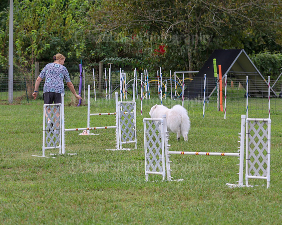 AGILITY-1970