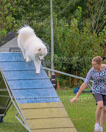 AGILITY-1972