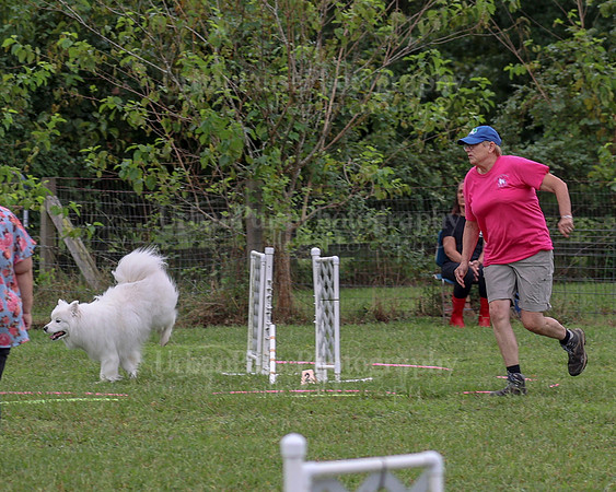 AGILITY-1980