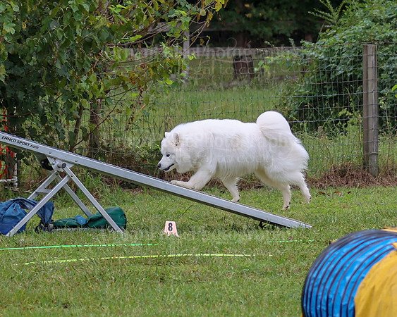 AGILITY-1981