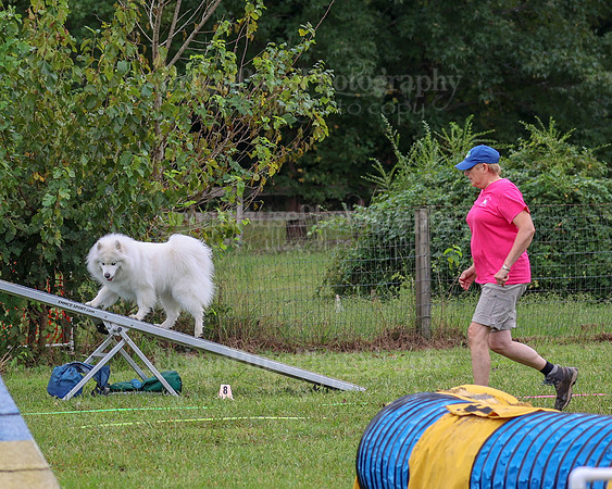 AGILITY-1982