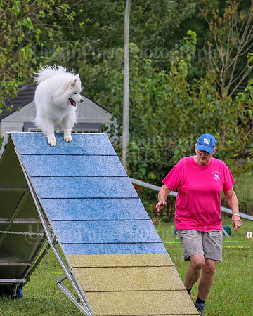 AGILITY-1983