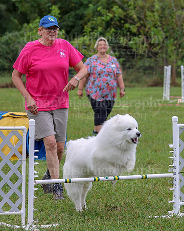 AGILITY-1986