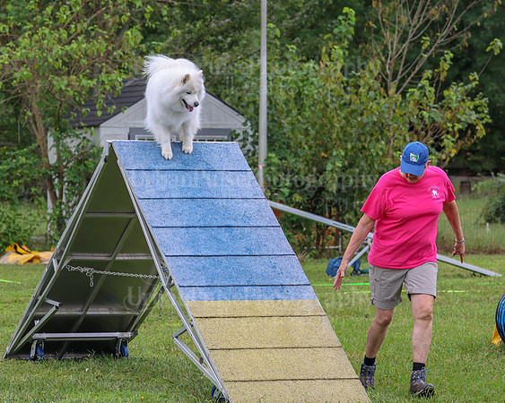 AGILITY-1984
