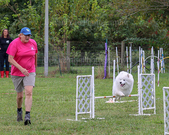 AGILITY-1987