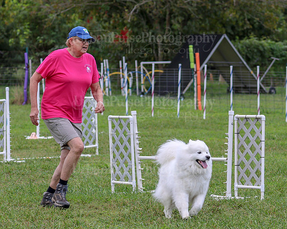 AGILITY-1991