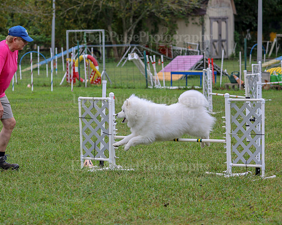 AGILITY-1992