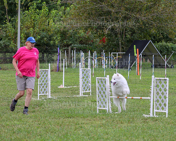 AGILITY-1989