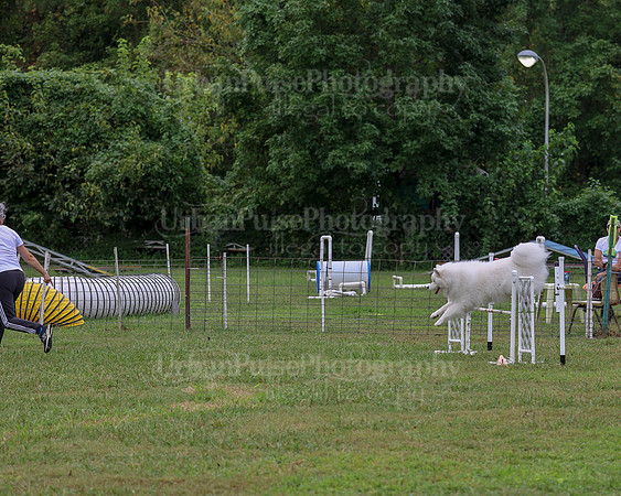 AGILITY-1993