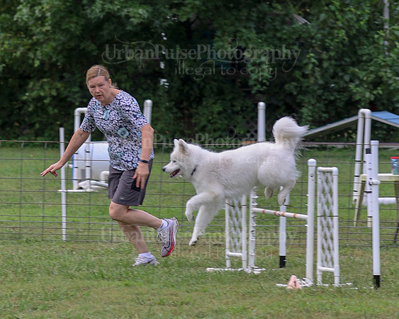 AGILITY-2048