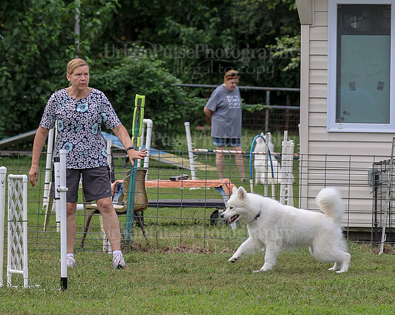 AGILITY-2046