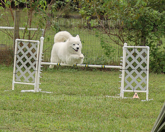 AGILITY-2052