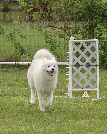 AGILITY-2054