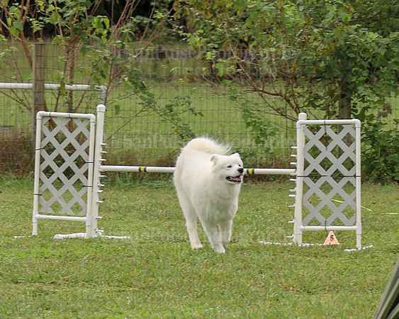 AGILITY-2053
