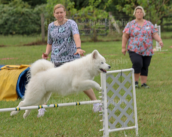 AGILITY-2057