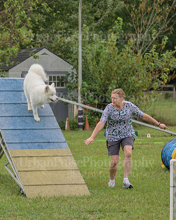 AGILITY-2056