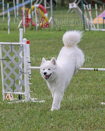 AGILITY-2058