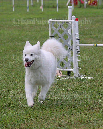 AGILITY-2059