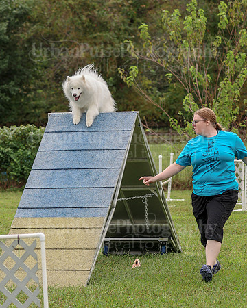 AGILITY-2062