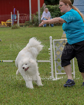 AGILITY-2065