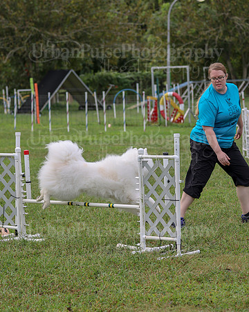 AGILITY-2068