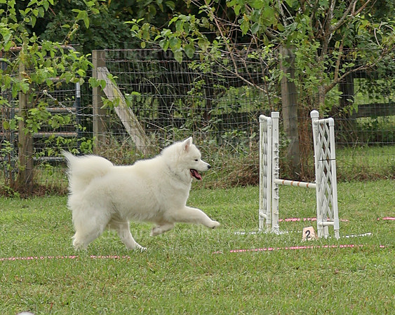 AGILITY-2075