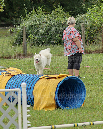 AGILITY-2077