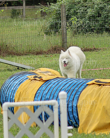 AGILITY-2078