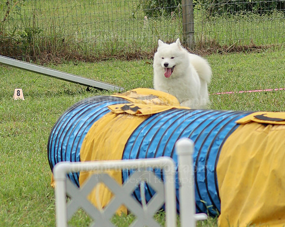 AGILITY-2079