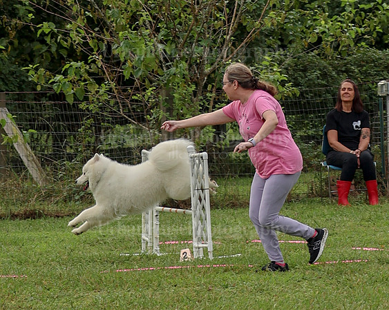 AGILITY-2082