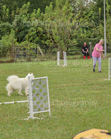AGILITY-2081