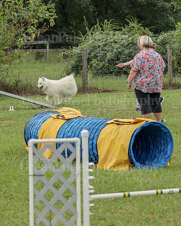 AGILITY-2085