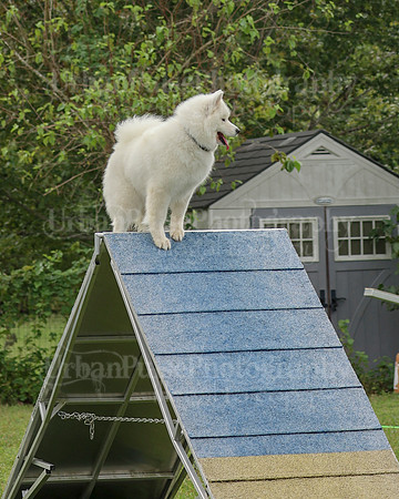 AGILITY-2087
