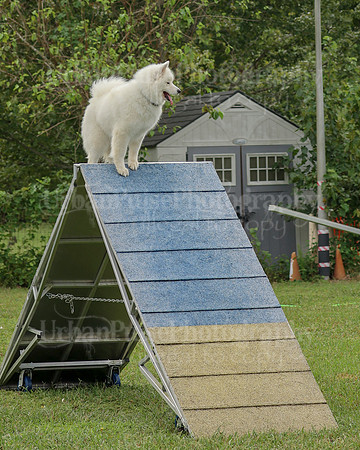 AGILITY-2088