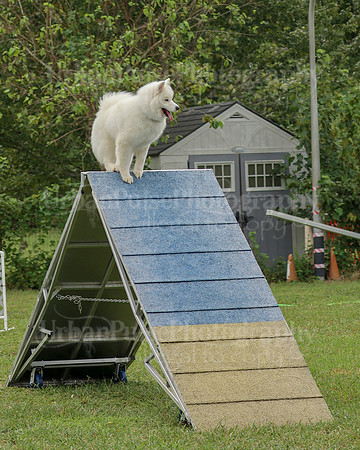 AGILITY-2089