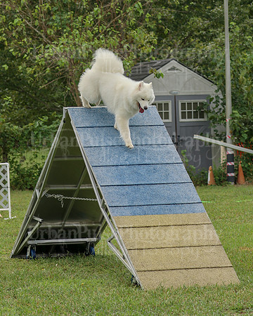 AGILITY-2090