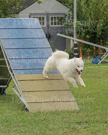 AGILITY-2091