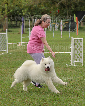 AGILITY-2092
