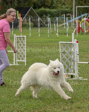 AGILITY-2093