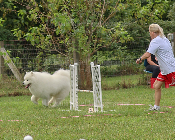 AGILITY-2095