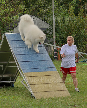 AGILITY-2097