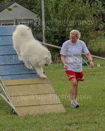 AGILITY-2098