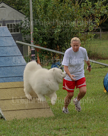AGILITY-2099