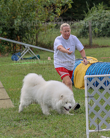 AGILITY-2100