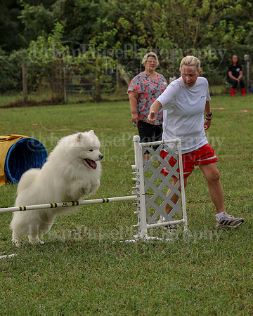 AGILITY-2101