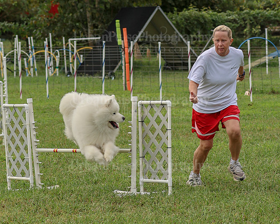 AGILITY-2104